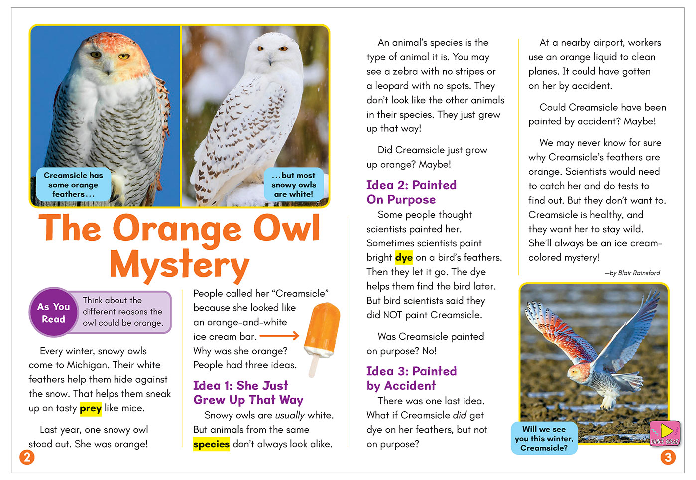 A magazine spread titled The Orange Owl Mystery shows photos of Creamsicle, an orange snowy owl, in flight and at rest beside a typical white snowy owl
