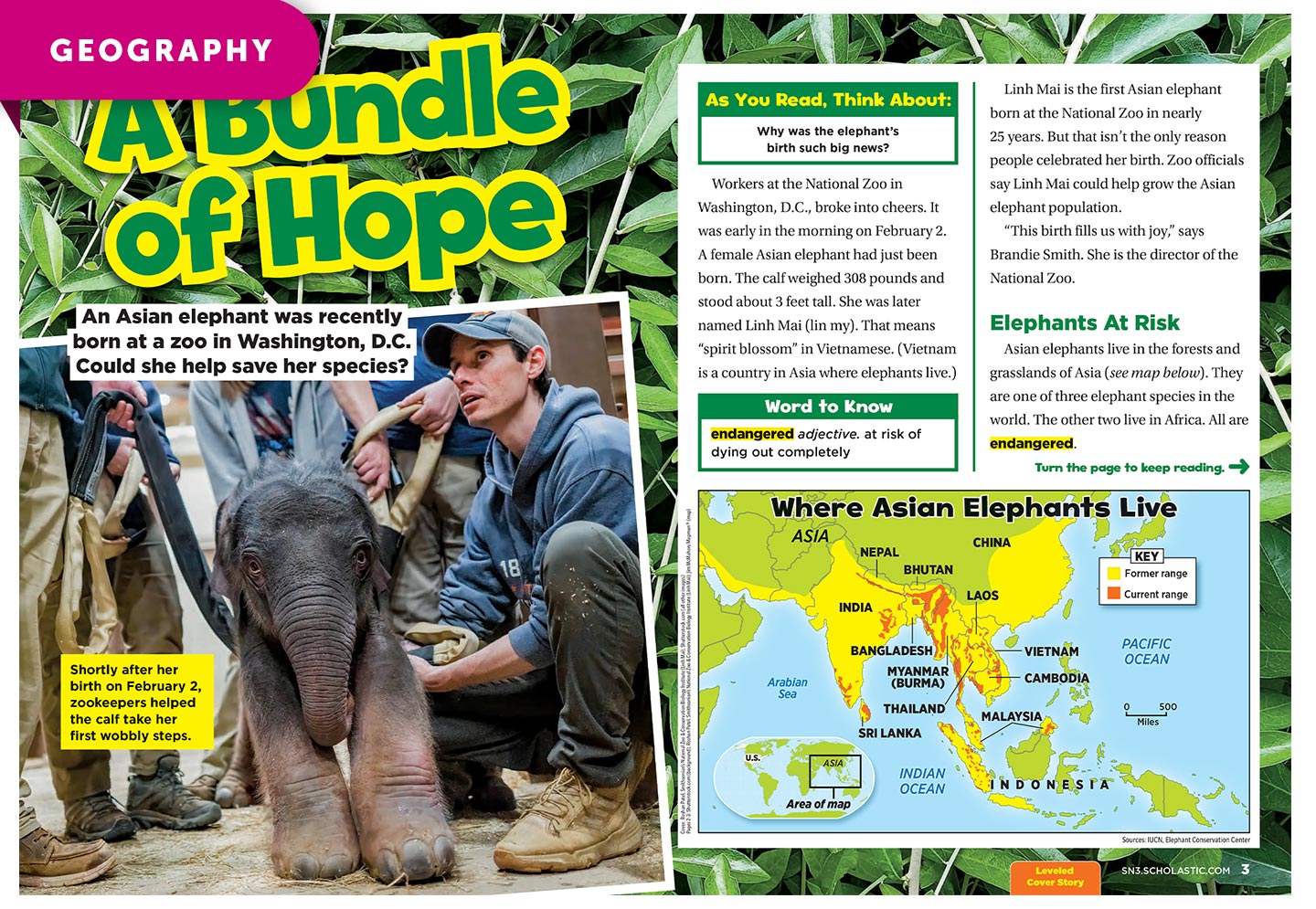 A zookeeper crouches beside a newborn elephant calf at the National Zoo