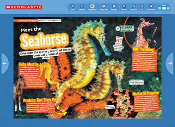 Cover of Meet the Seahorse, a Scholastic article with photos of seahorses underwater