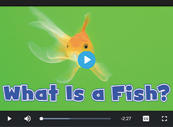 Video titled What Is a Fish, a goldfish swims against a green background